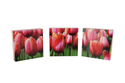 kakakado-shop-pixit-artblocks-tulpen